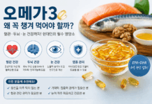 오메가3, 왜 꼭 챙겨 먹어야 할까? 현대인의 건강을 지키는 필수 영양소